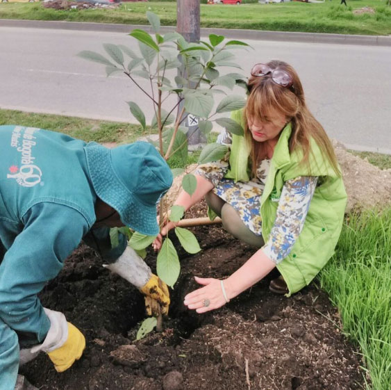 Arborización en Autopista Norte con 170